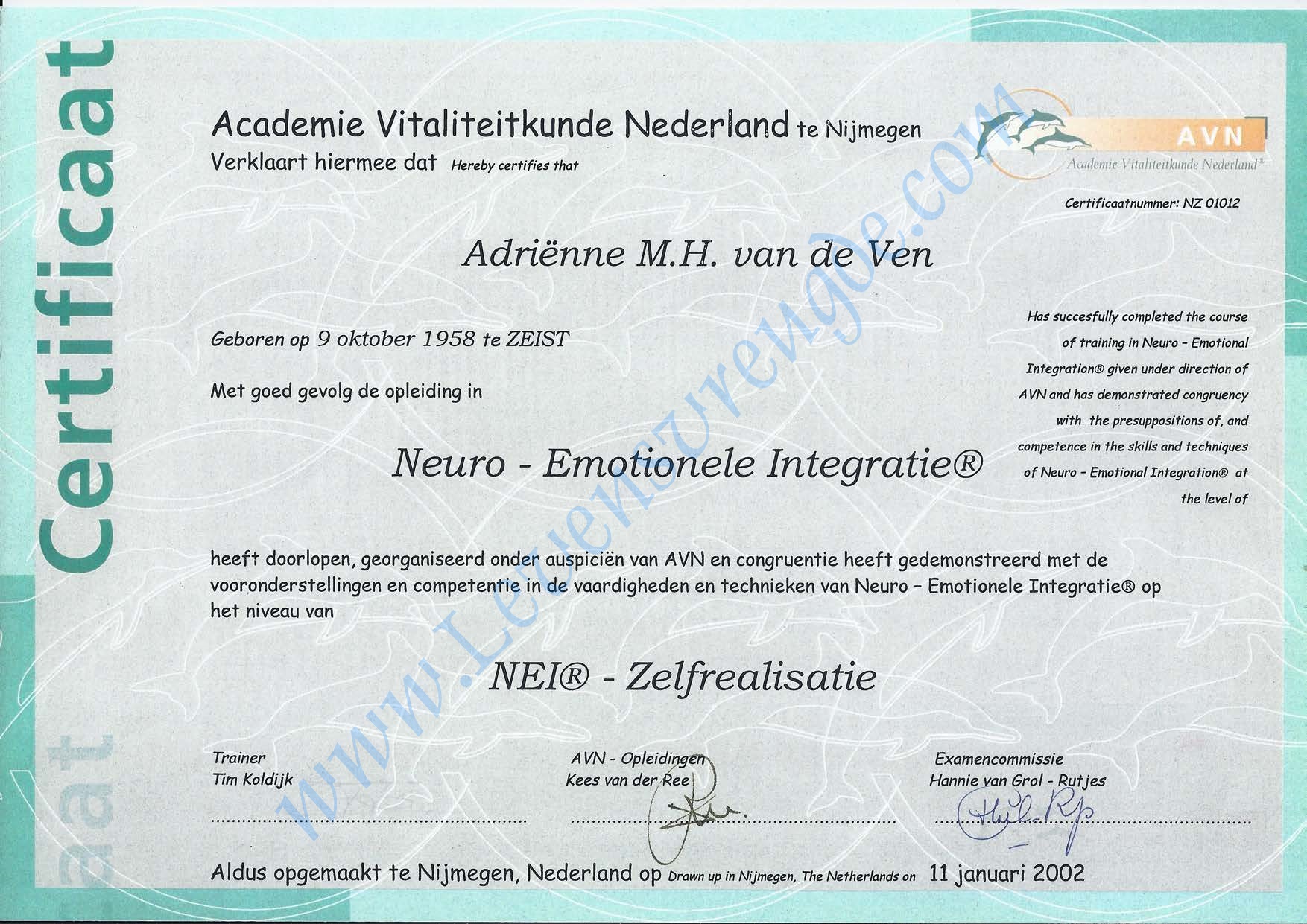 Diploma Nei